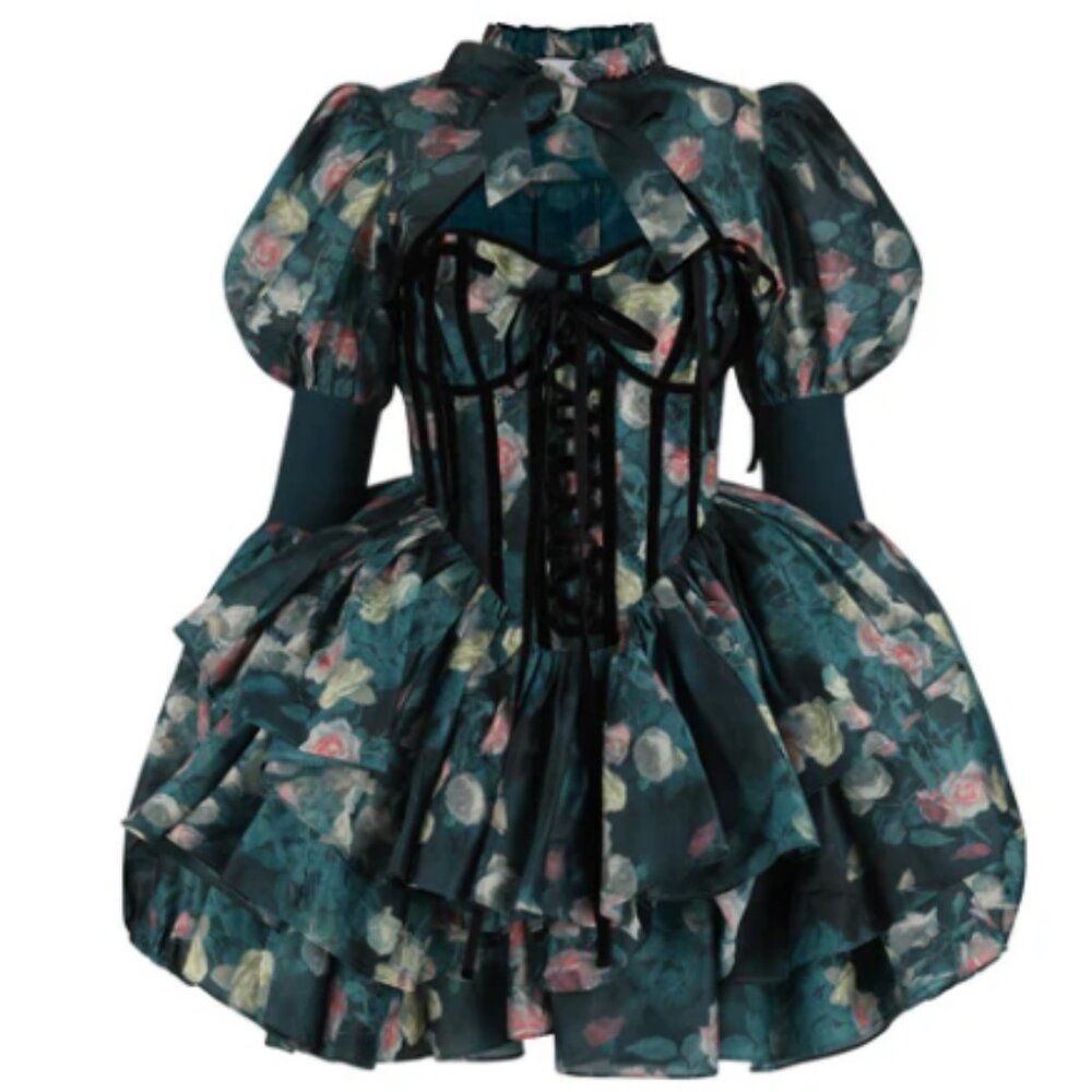 Selkie Dresses The Enchantment Swan Song Dress